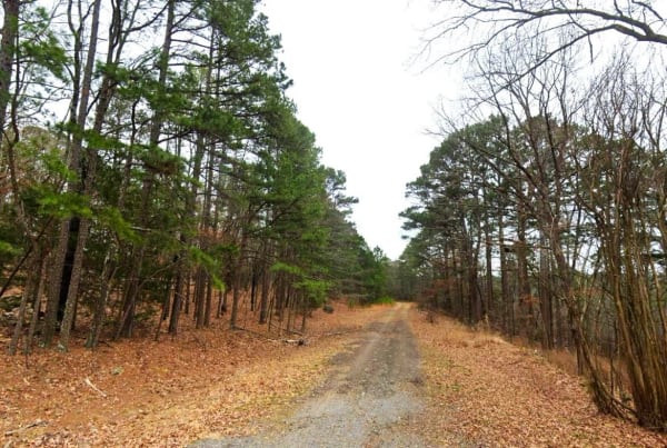 0.26-Acre Mountain View Arkansas
