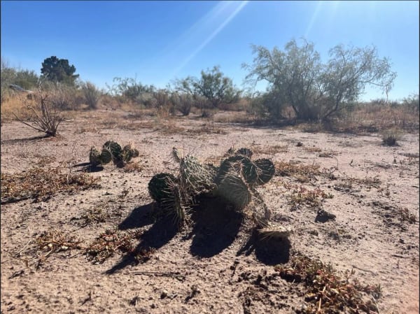 Luna, NM - 3054151048321