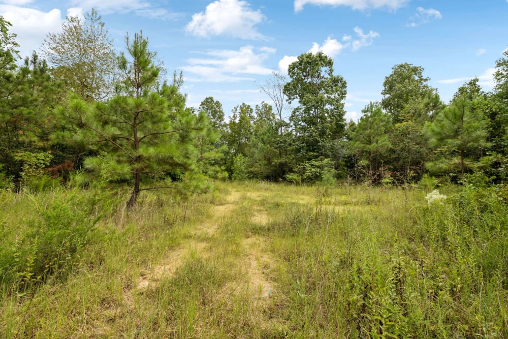 Ninety Acres of Middle Tennessee