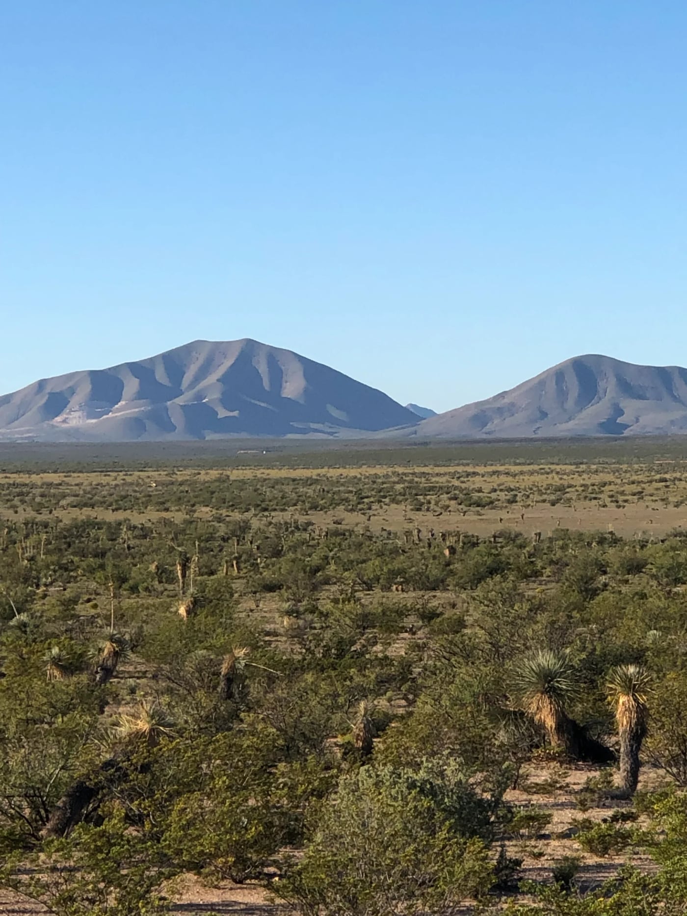 Trans-Pecos Horizons