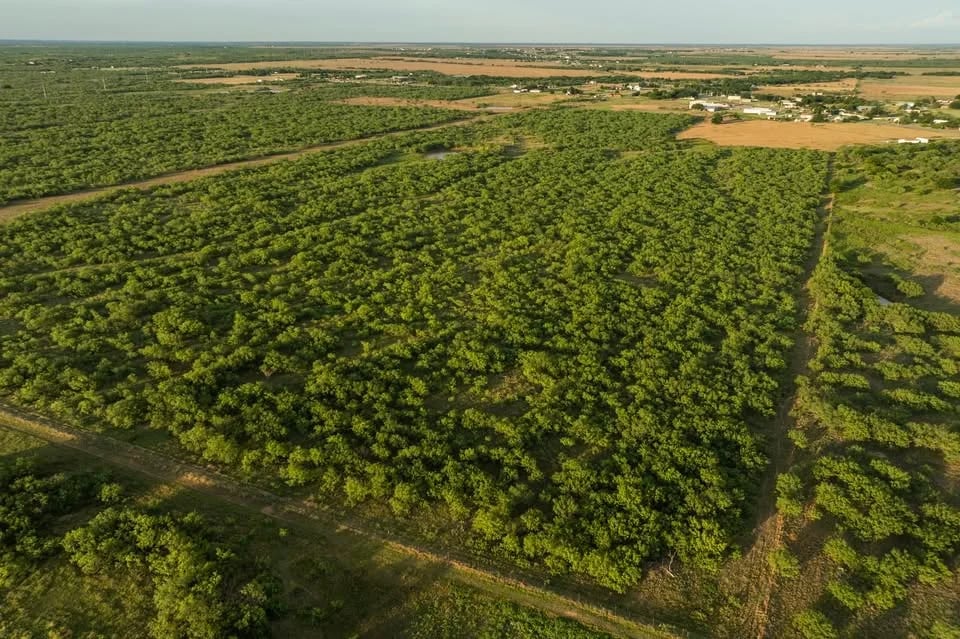 Clay County Near Wichita Falls