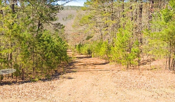 0.24-Acre Lot in a Prime Location in Fairfield Bay, AR