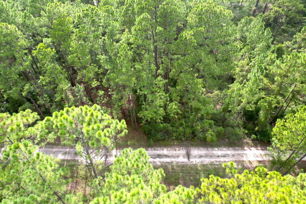 Georgetown Near Lake George