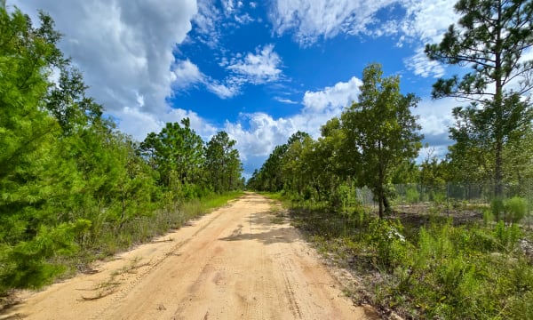 SPACE! Lightly wooded Building Lot with access to Power
