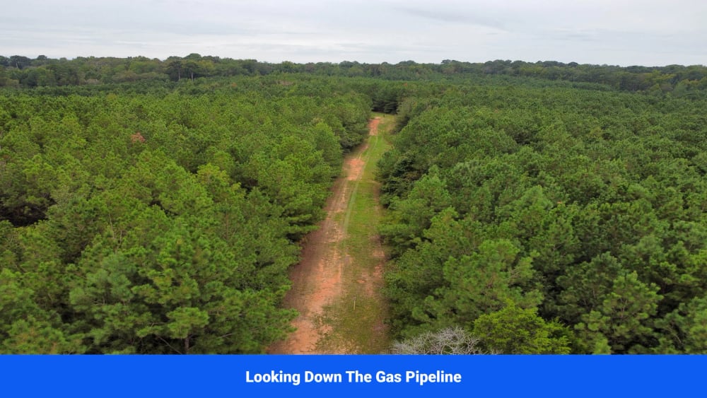 Attala County, Mississippi