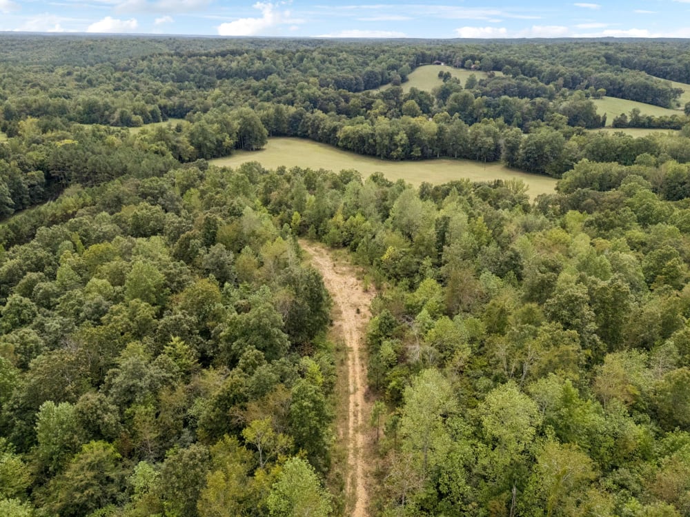 Ninety Acres of Middle Tennessee
