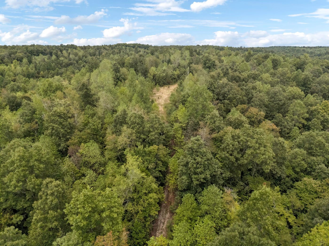 Ninety Acres of Middle Tennessee