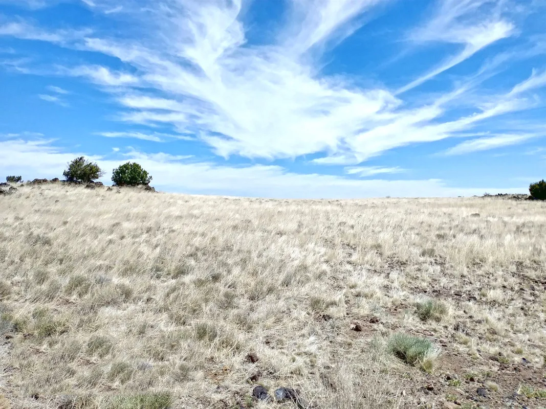 1.25 Acres in Apache, Arizona