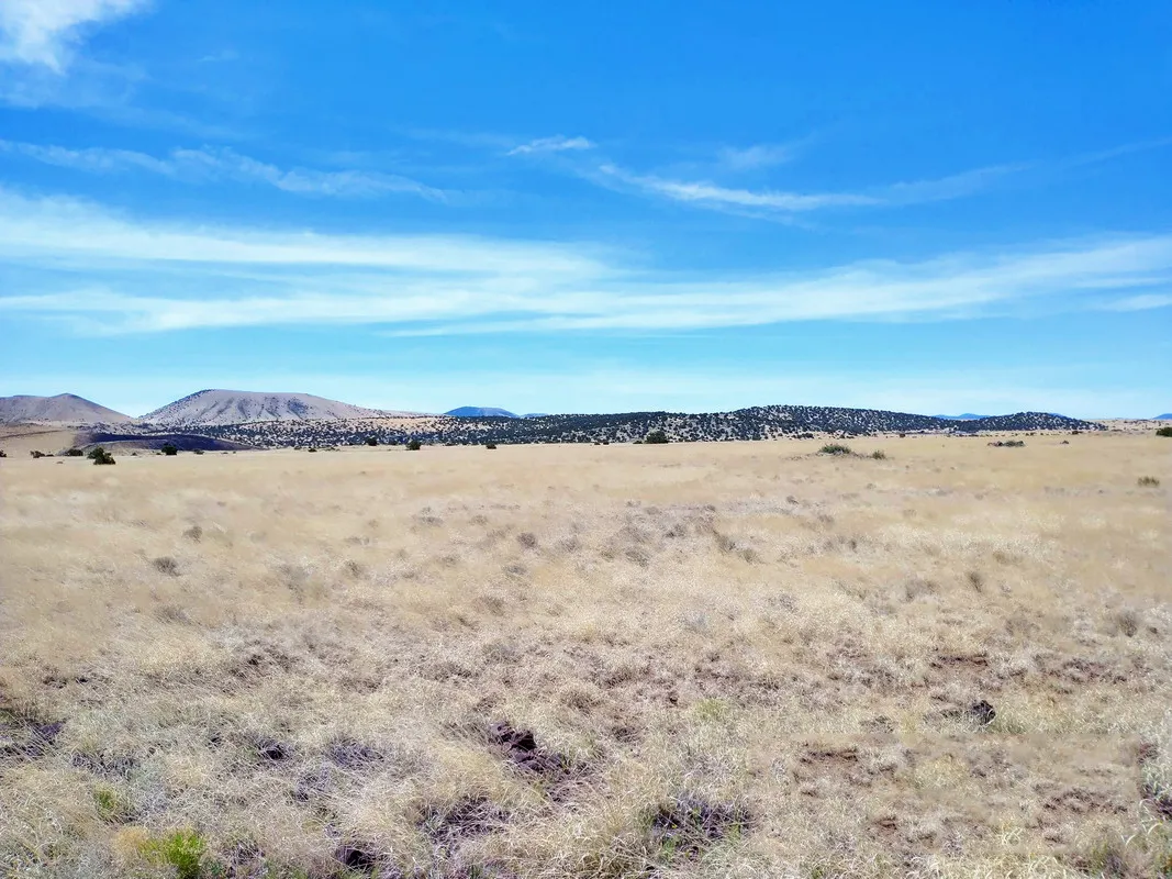 2 Acres in Apache, Arizona