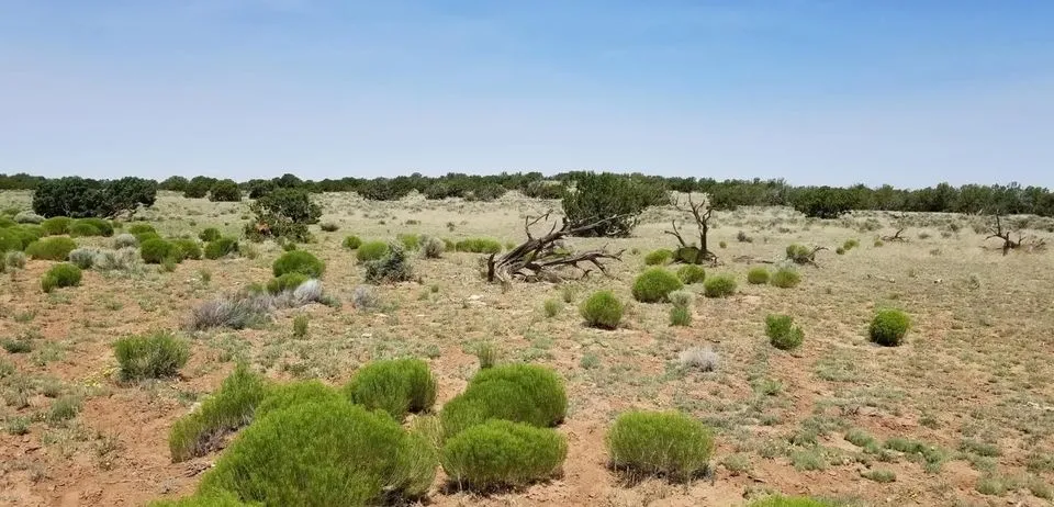 1.05 Acres in Apache, Arizona