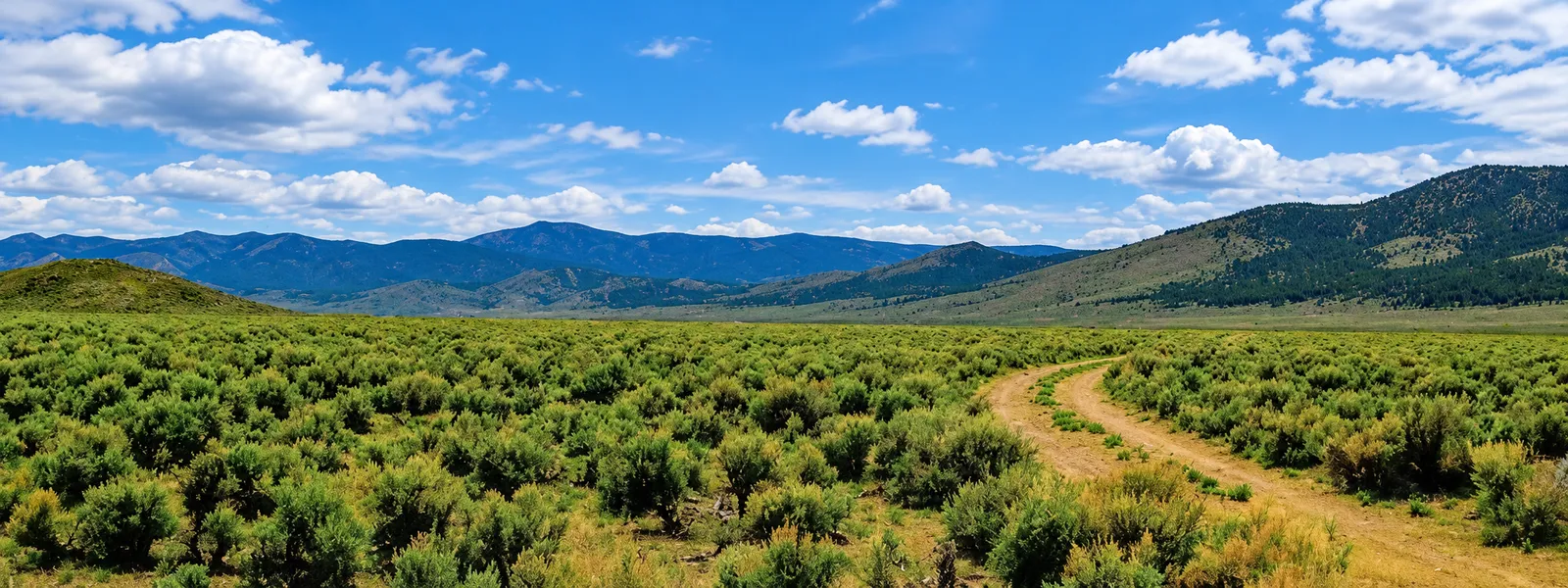 46 Acres! Surveyed! Welcome to your own private frontier in the heart of Pershing County!