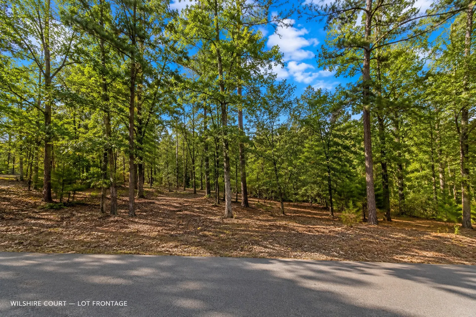 Time to bring your Camper or RV! DISCOVER GREERS FERRY LAKE PROPERTY WITH UTILITEIS IN VAN BUREN ARKANSAS!