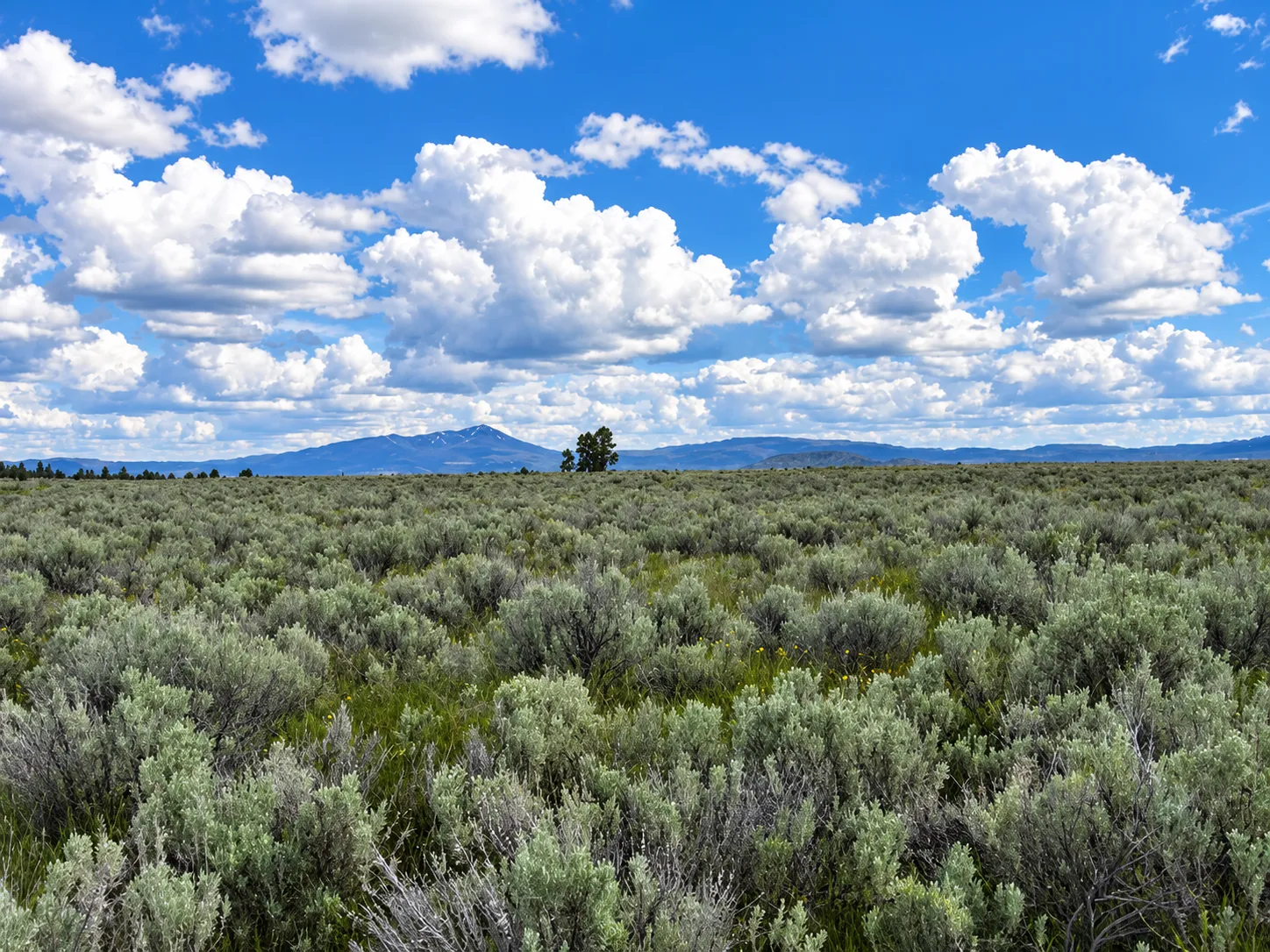 A Rare Opportunity for 160 Acres of Oregon Freedom