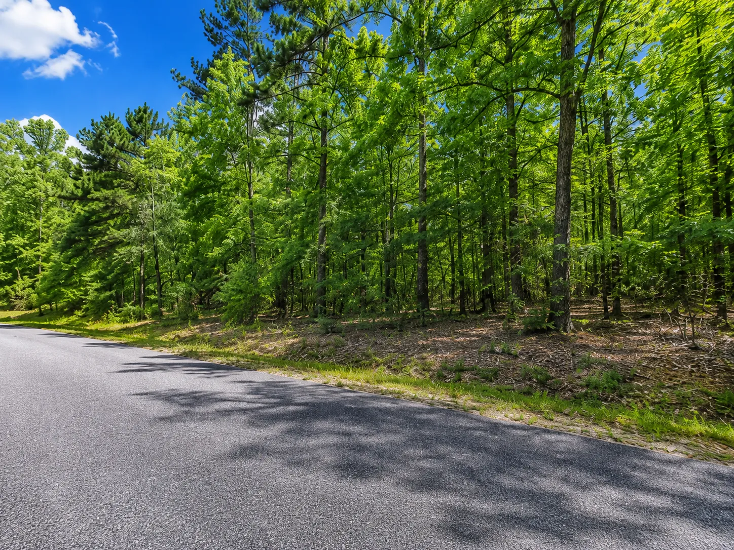 Time to Camp and RV! Discover the Lake Chanute Lifestyle in the Beautiful Arkansas Ozarks! Residential Lot with Utilities and Road Frontage APN: 350-19638-000