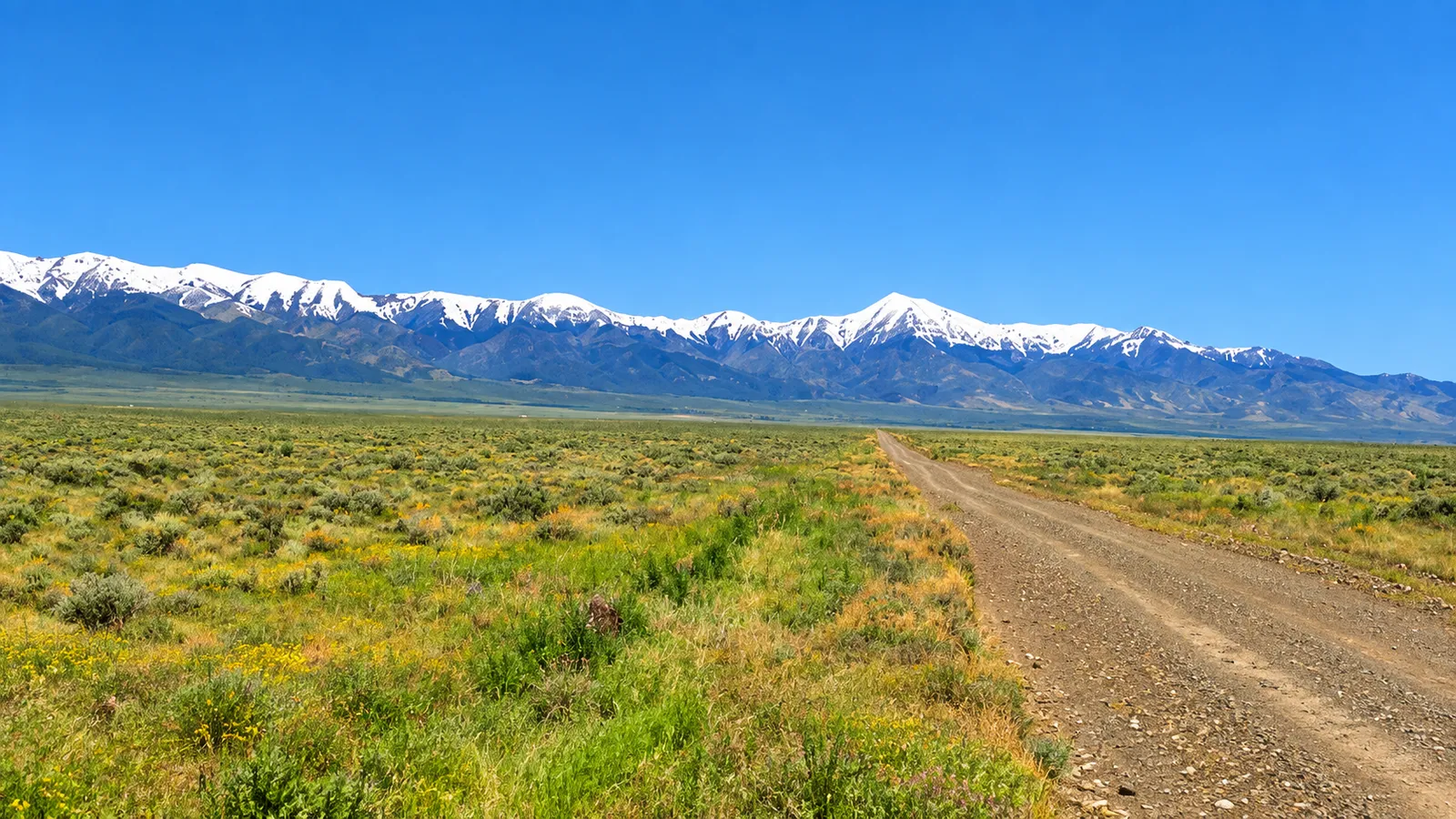 Discover nearly 39.96 acres of wide-open Nevada freedom in beautiful Antelope Valley.