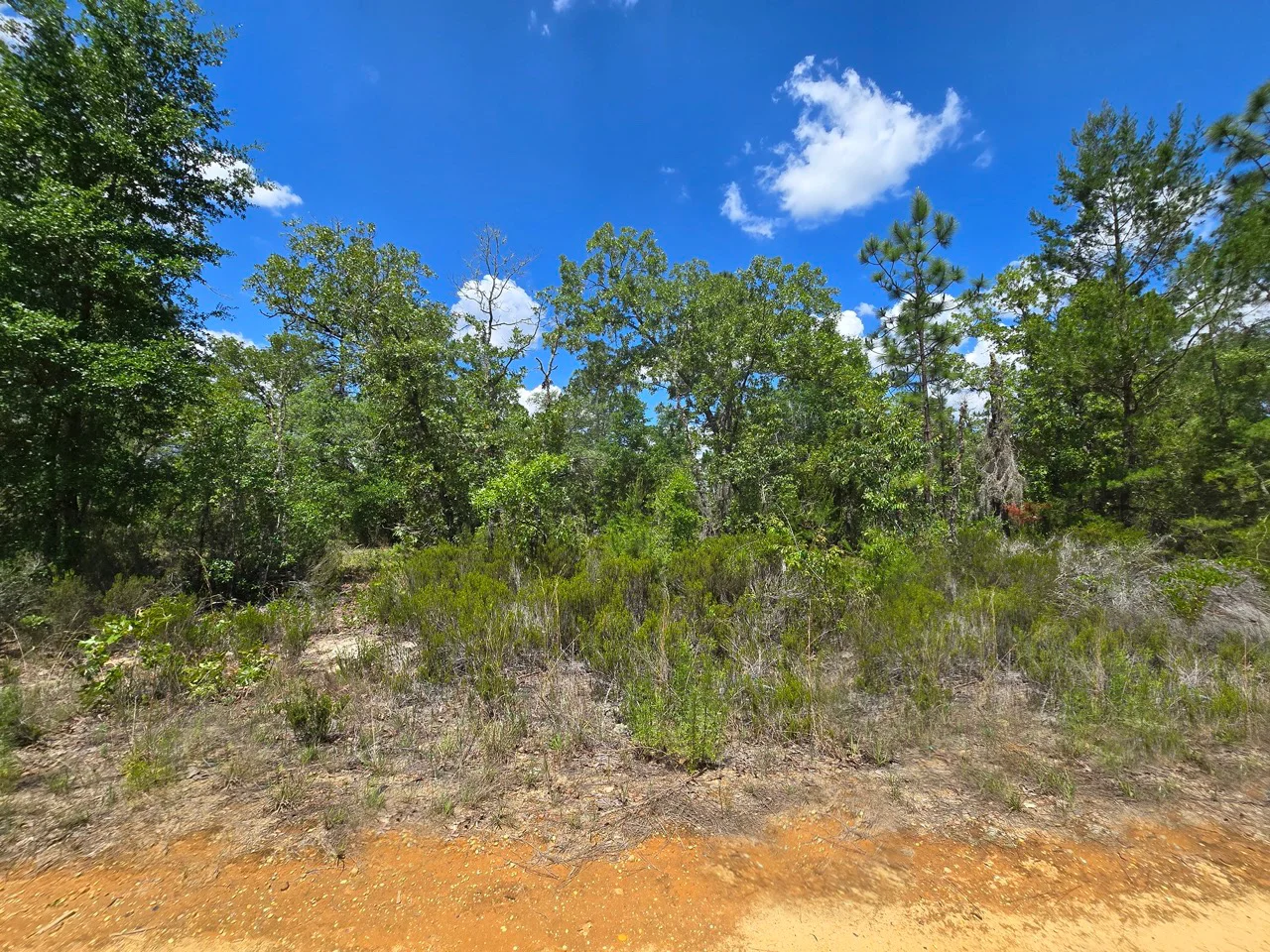 SPACE! Your Retreat close to Mariner Lake