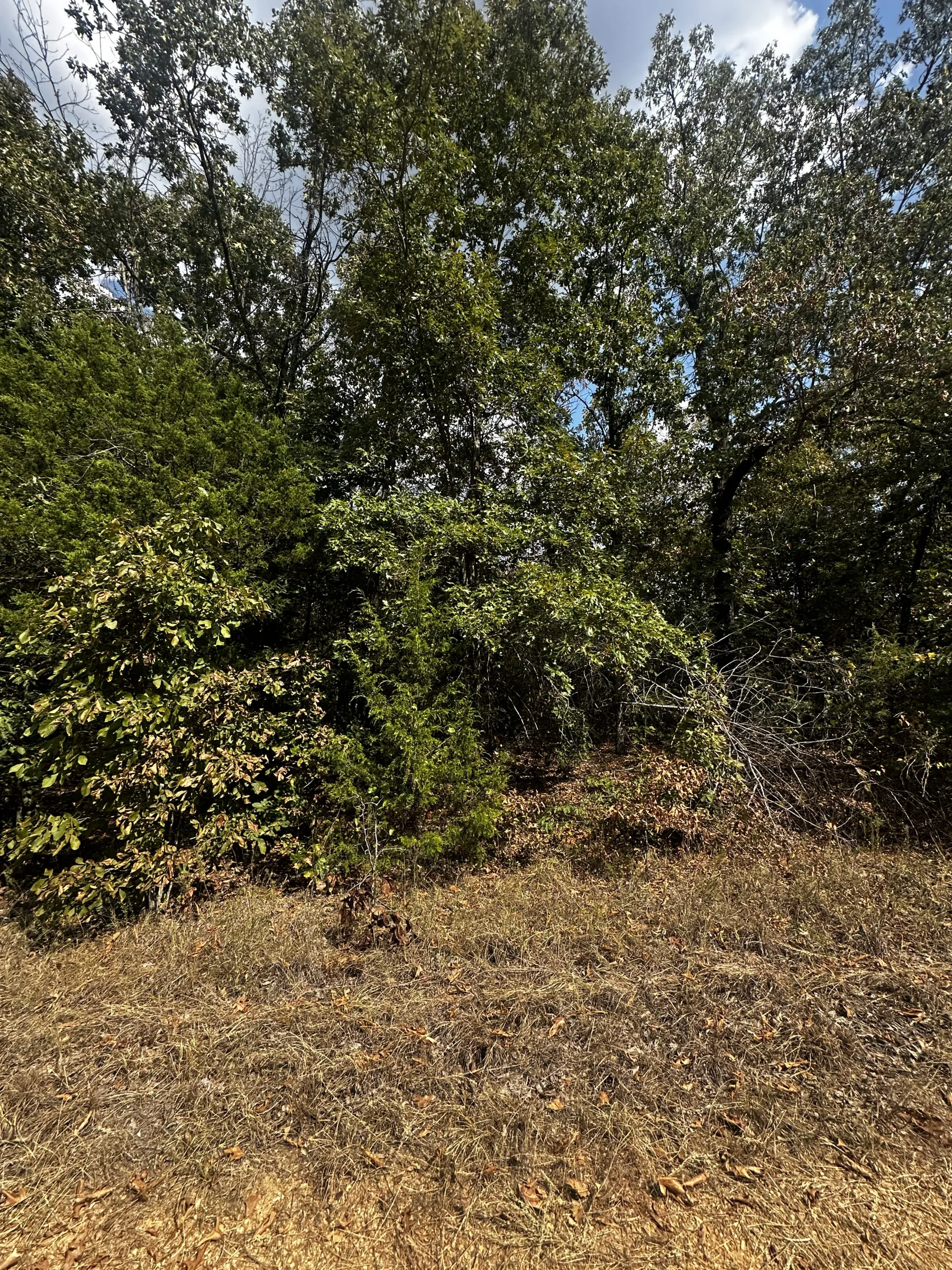 2x Adjacent lots - Every day here is VACAY-day