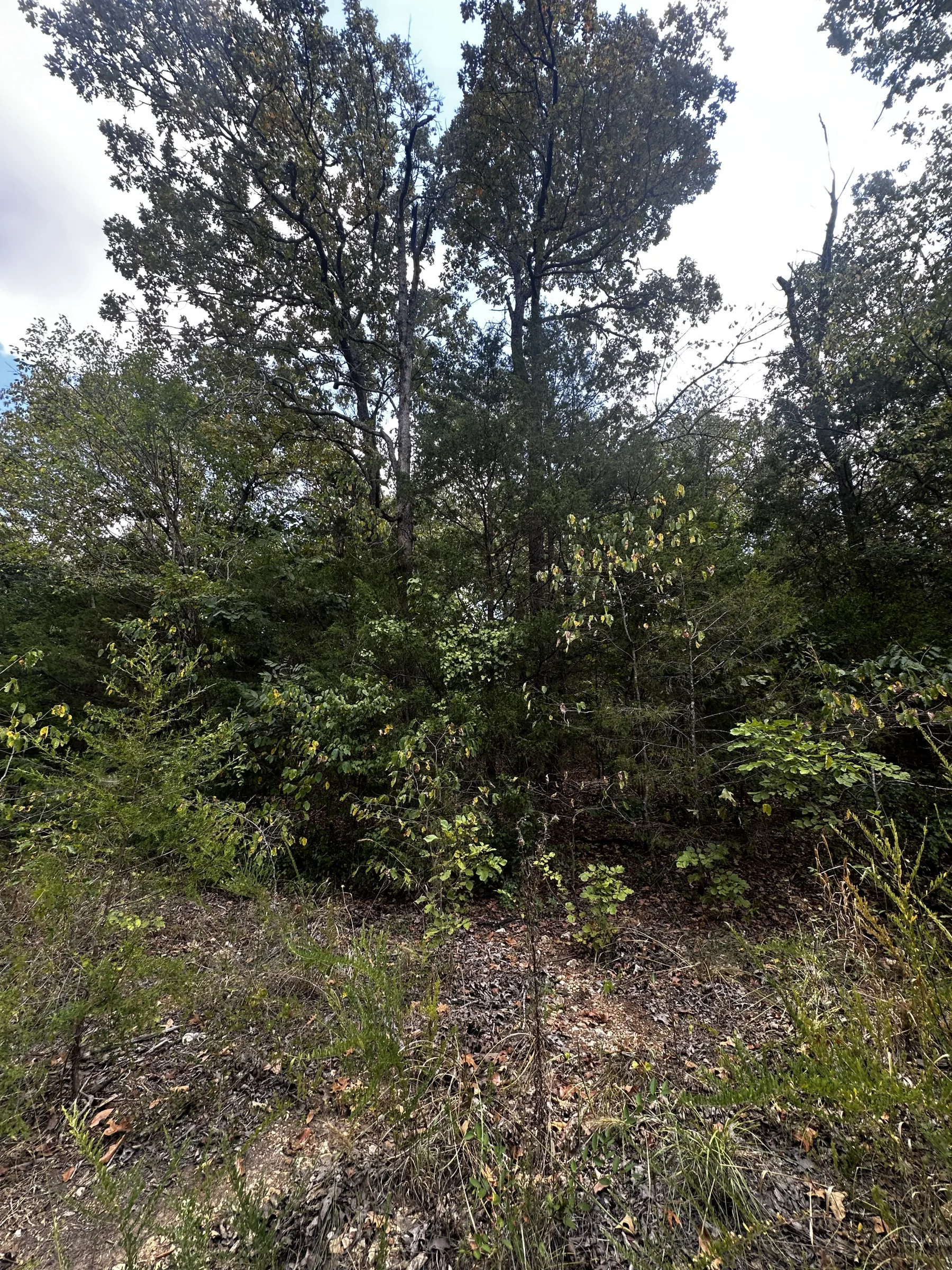 Quiet Escape - Power/Water line nearby