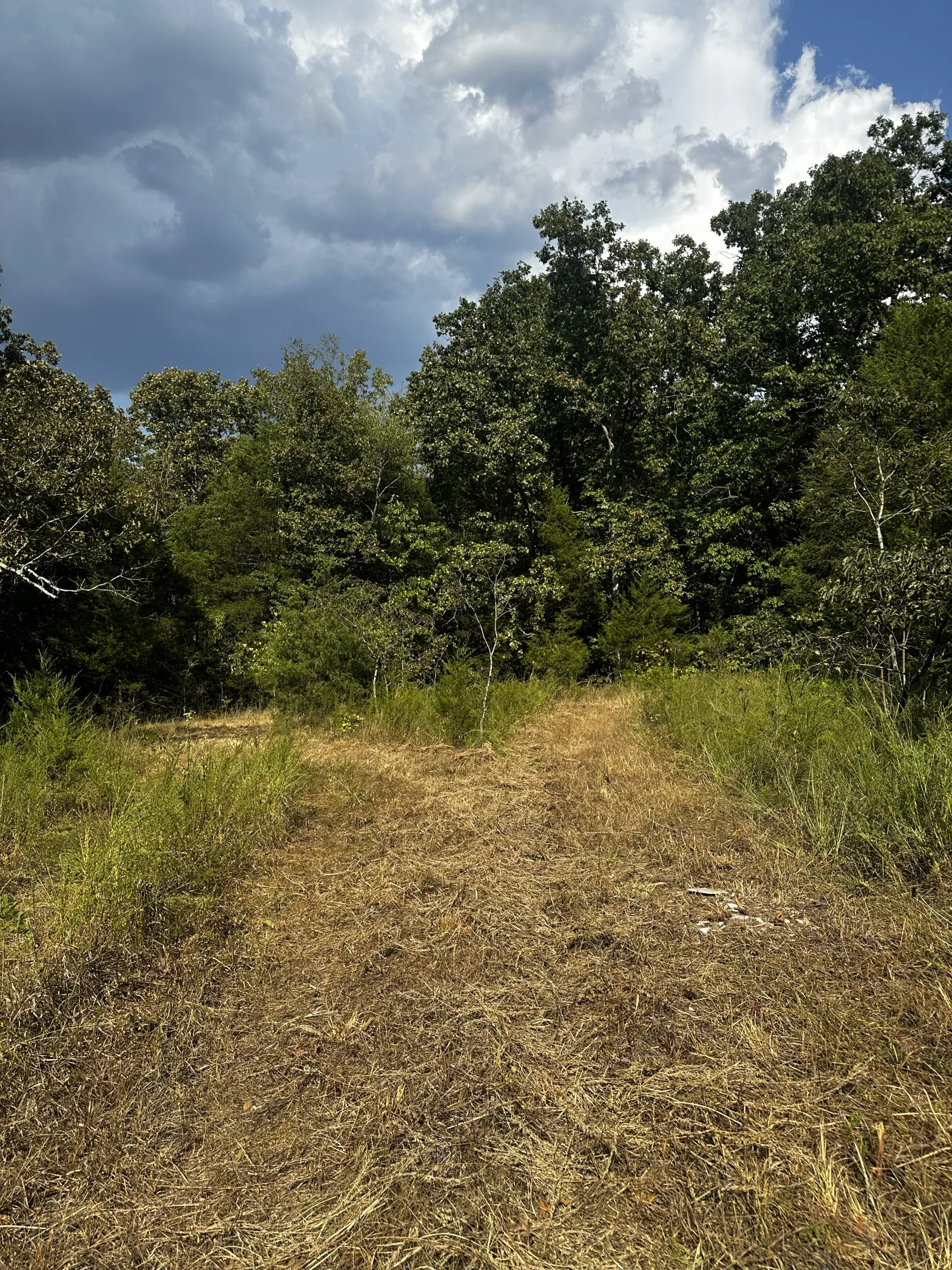 2 adjacent lots - 0.9 acres Imagine fawn on your front step!