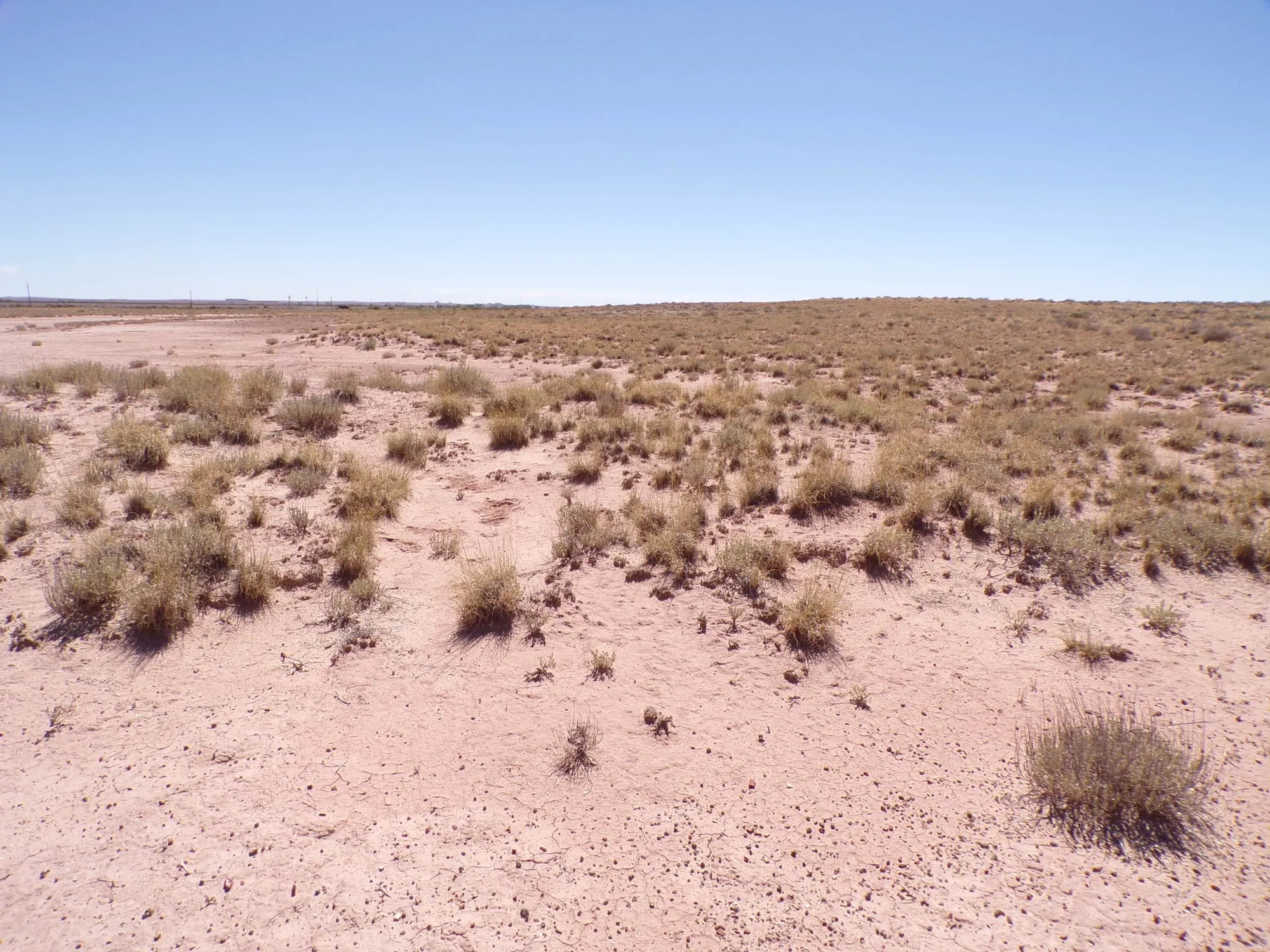 Sun Valley AZ 1.25 Acres, Close to I-40 and Holbrook, Finance $90/mo