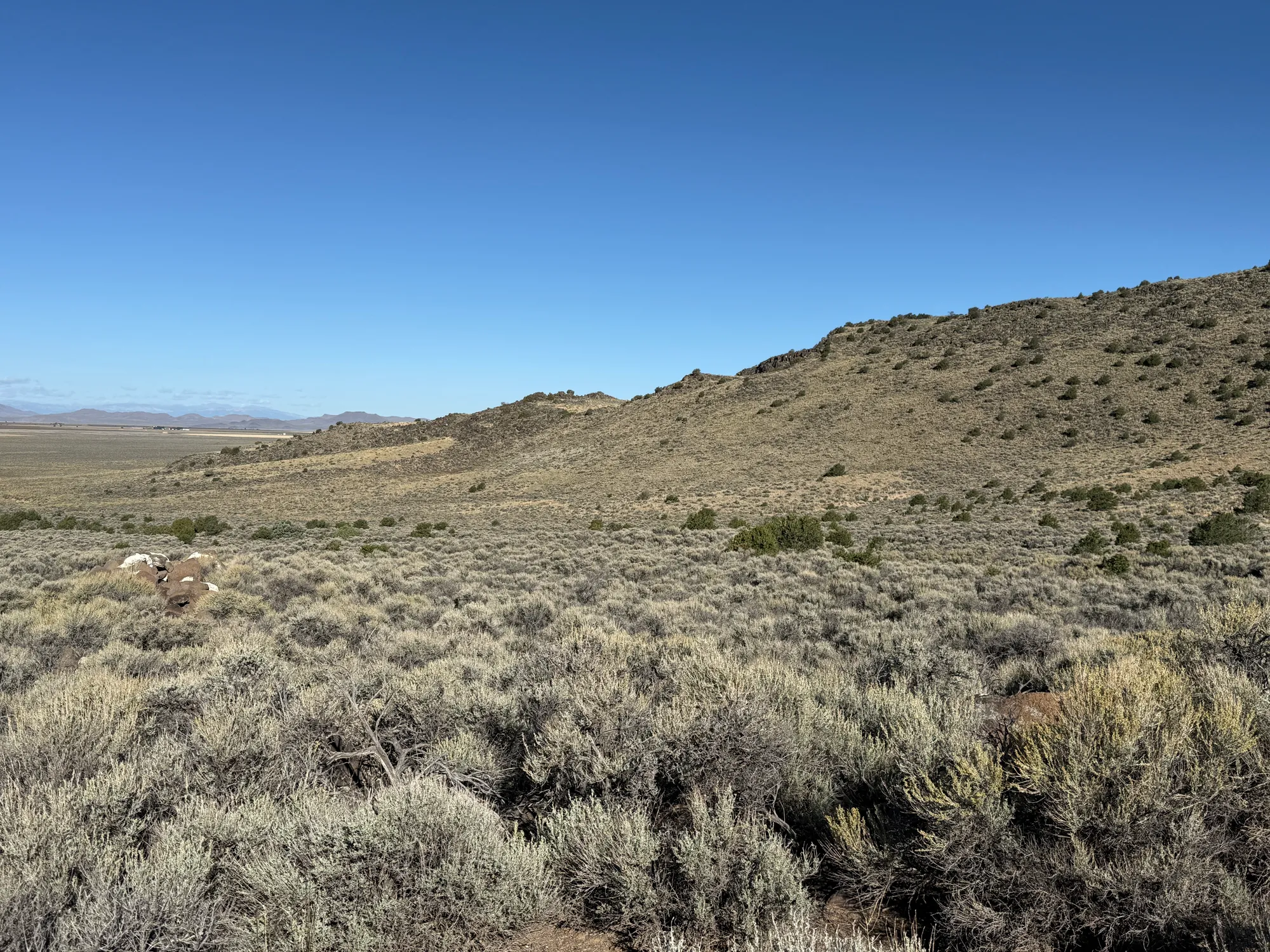 3.3 Acres on Wild Horse Mesa