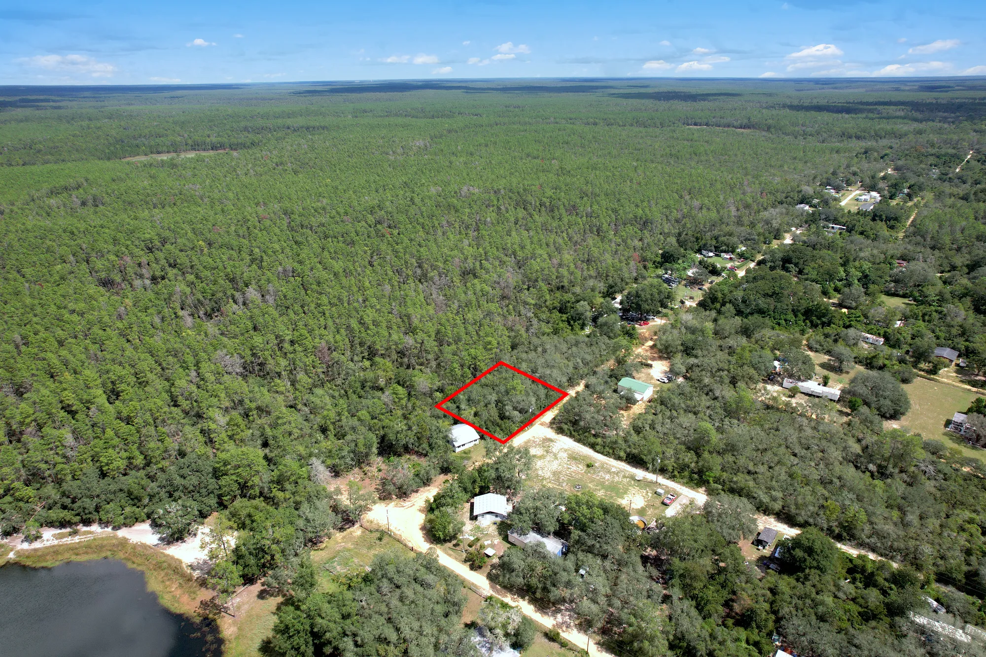 Wooded Lot Backing to Ocala National Forest