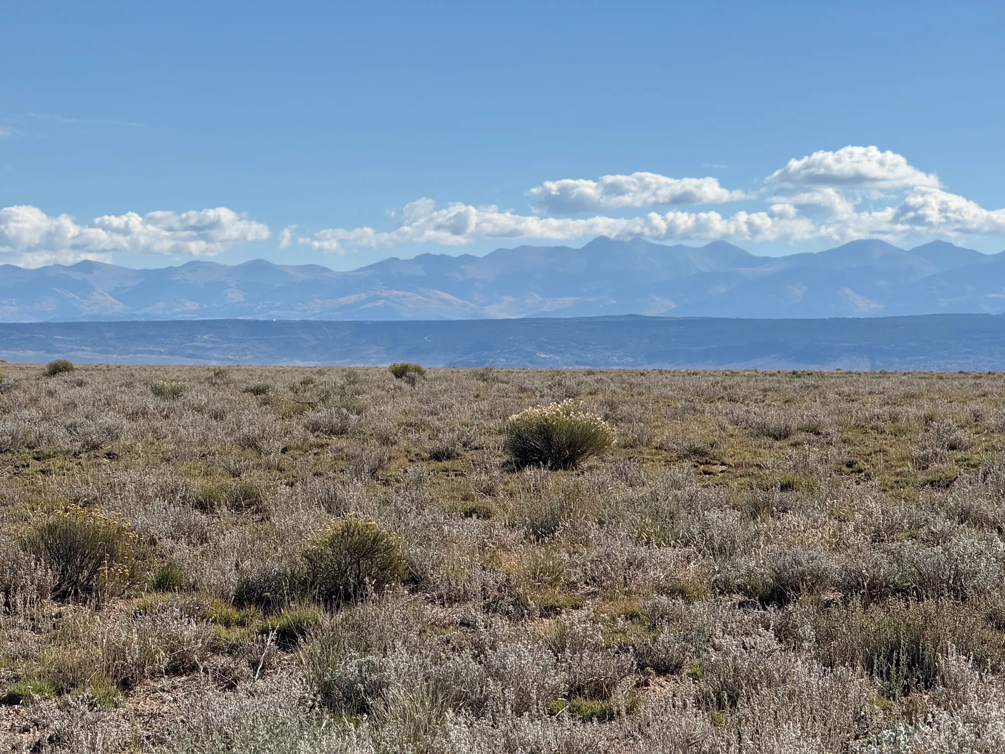 5 acres: Close to the River, Far from the Noise