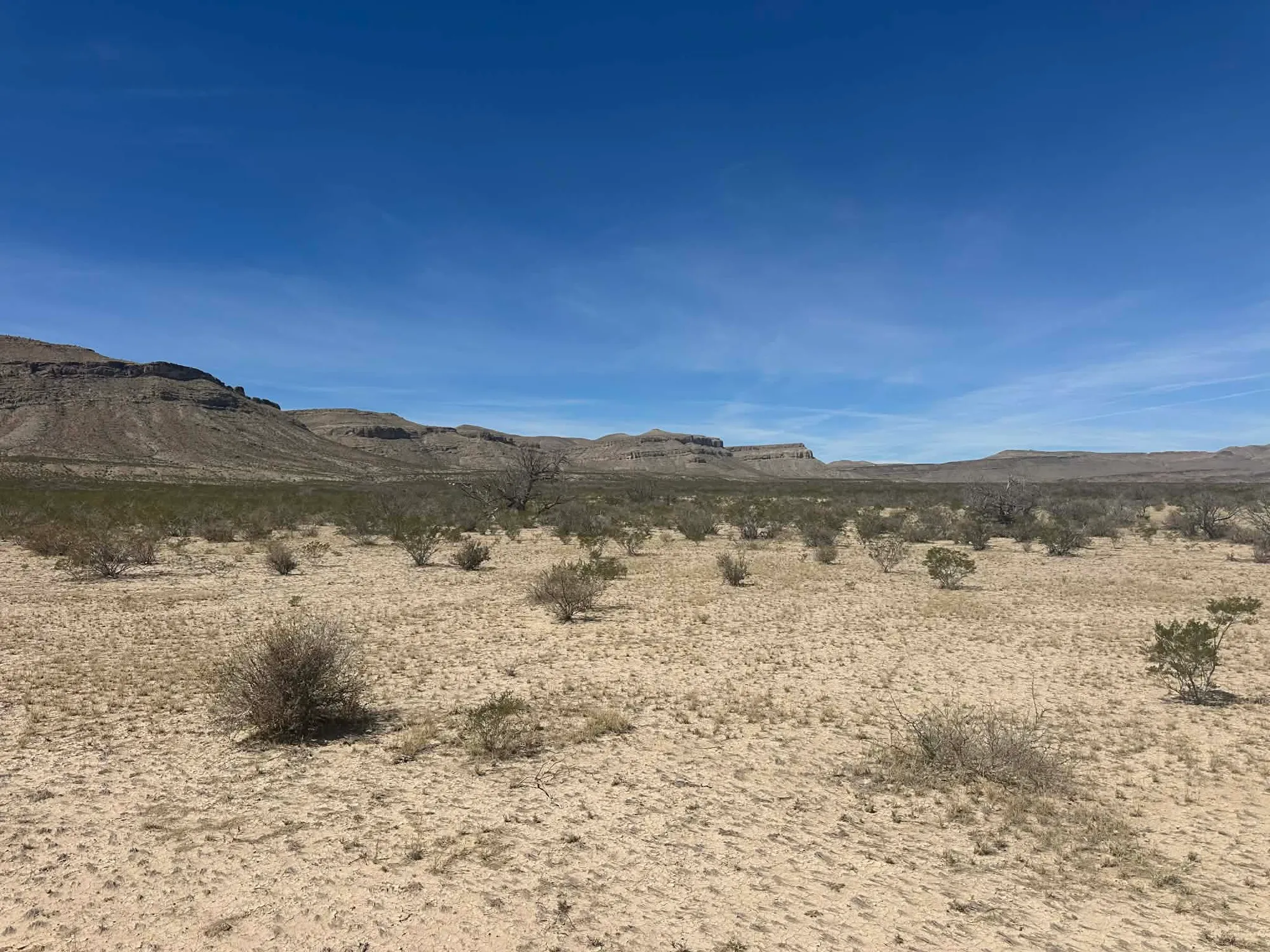 10 Acres of Freedom – No Zoning, Just Wide-Open West Texas
