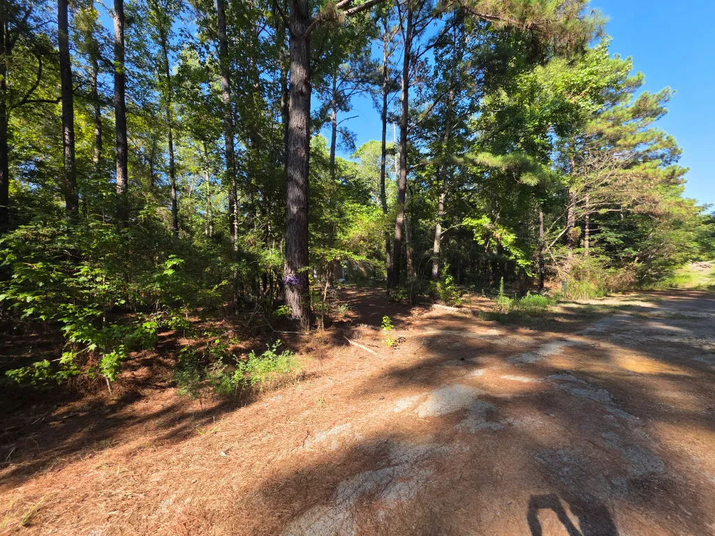 Amherst Ct