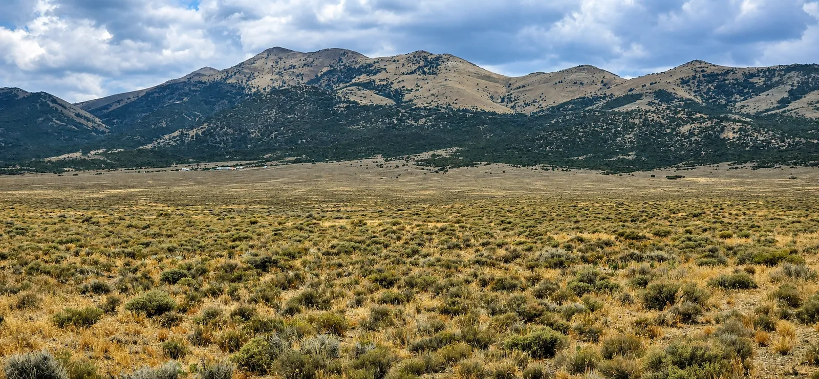 Beautiful, 2.06 Acre Property!