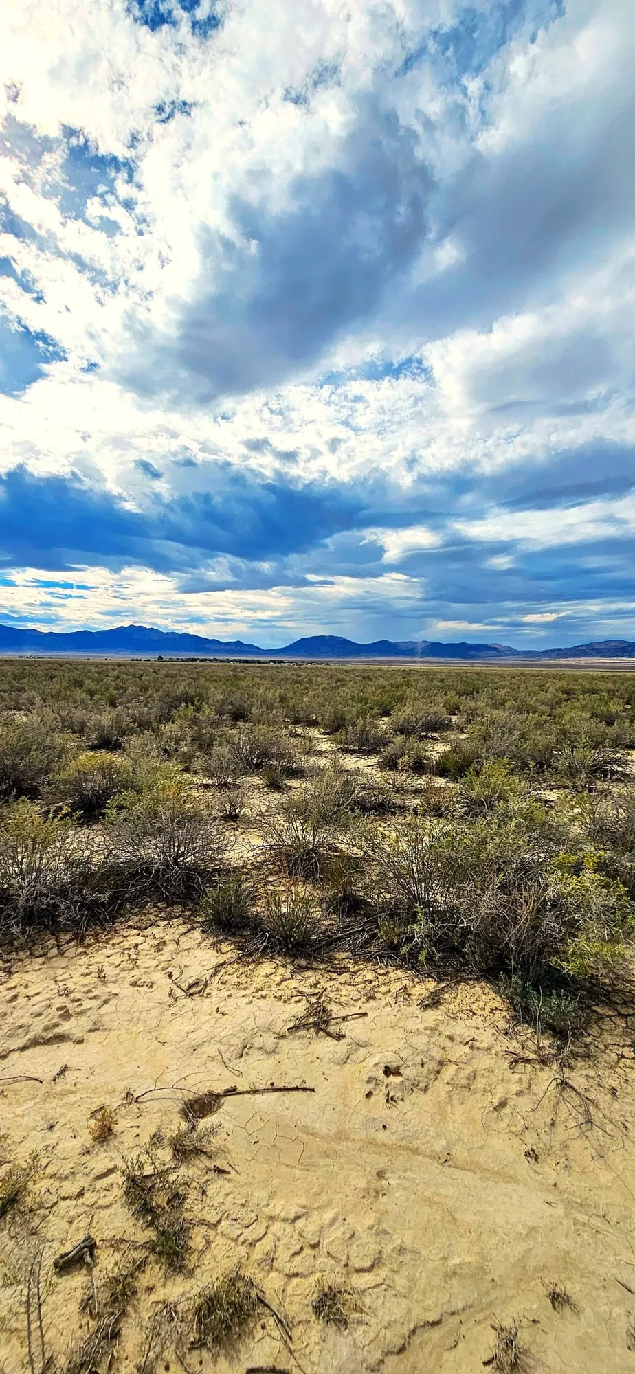 10 Acres of Room to Breathe Near Montello, Nevada