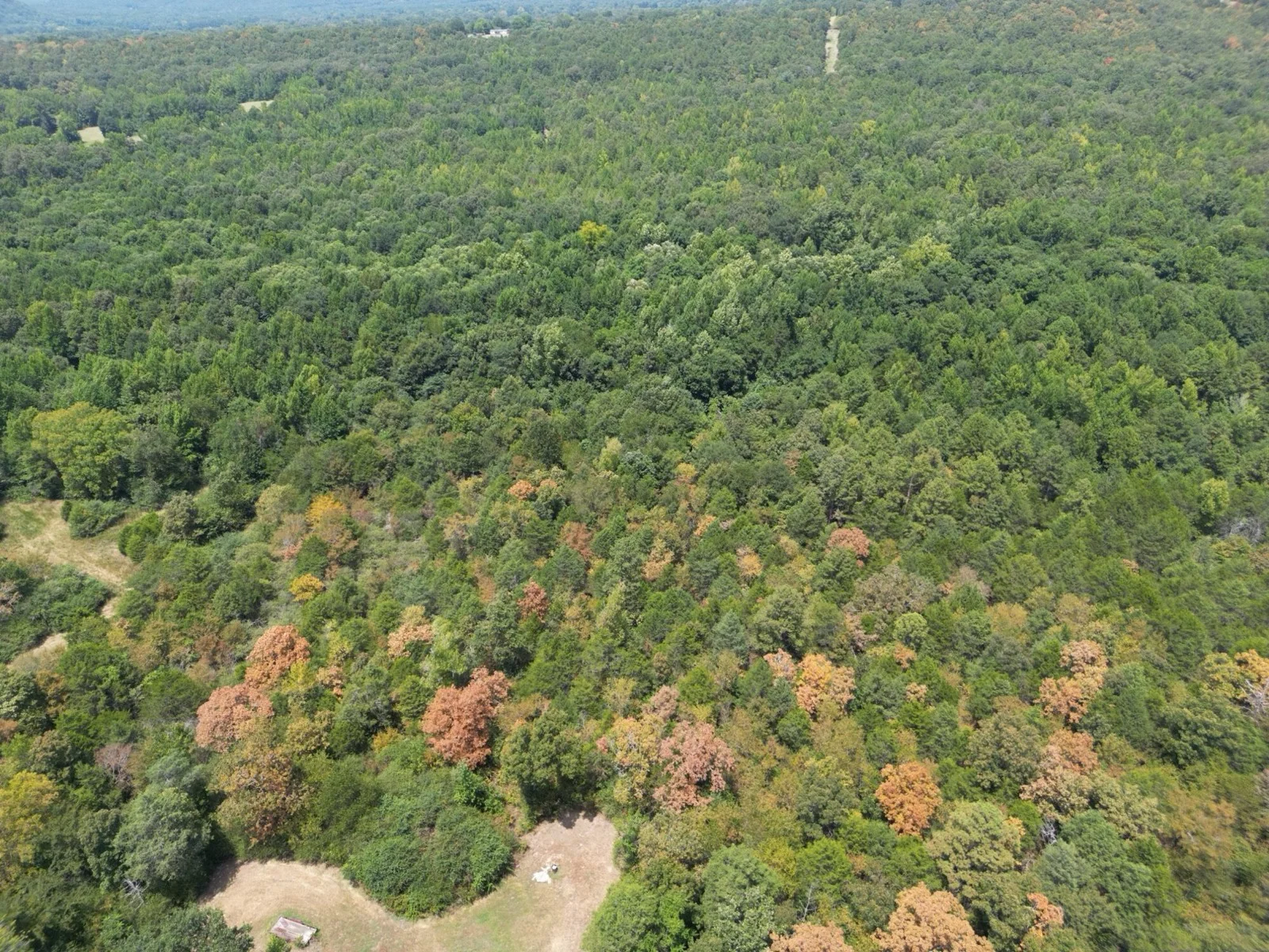 12.95 Acres For Sale in Conway County Arkansas!