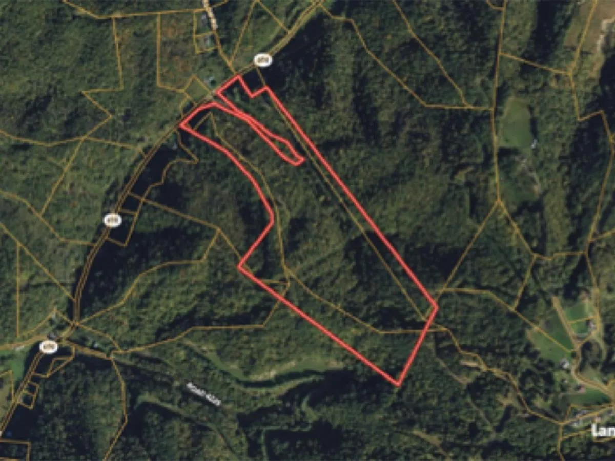 82-Acre Buchanan County, VA Mountain Tract with Owner Financing and $19,980 Down
