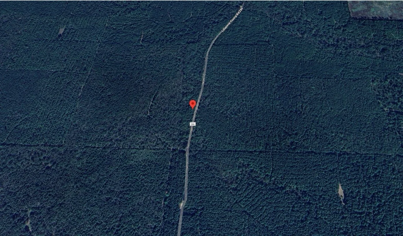 10 Acres For Sale in Lafayette County Arkansas!