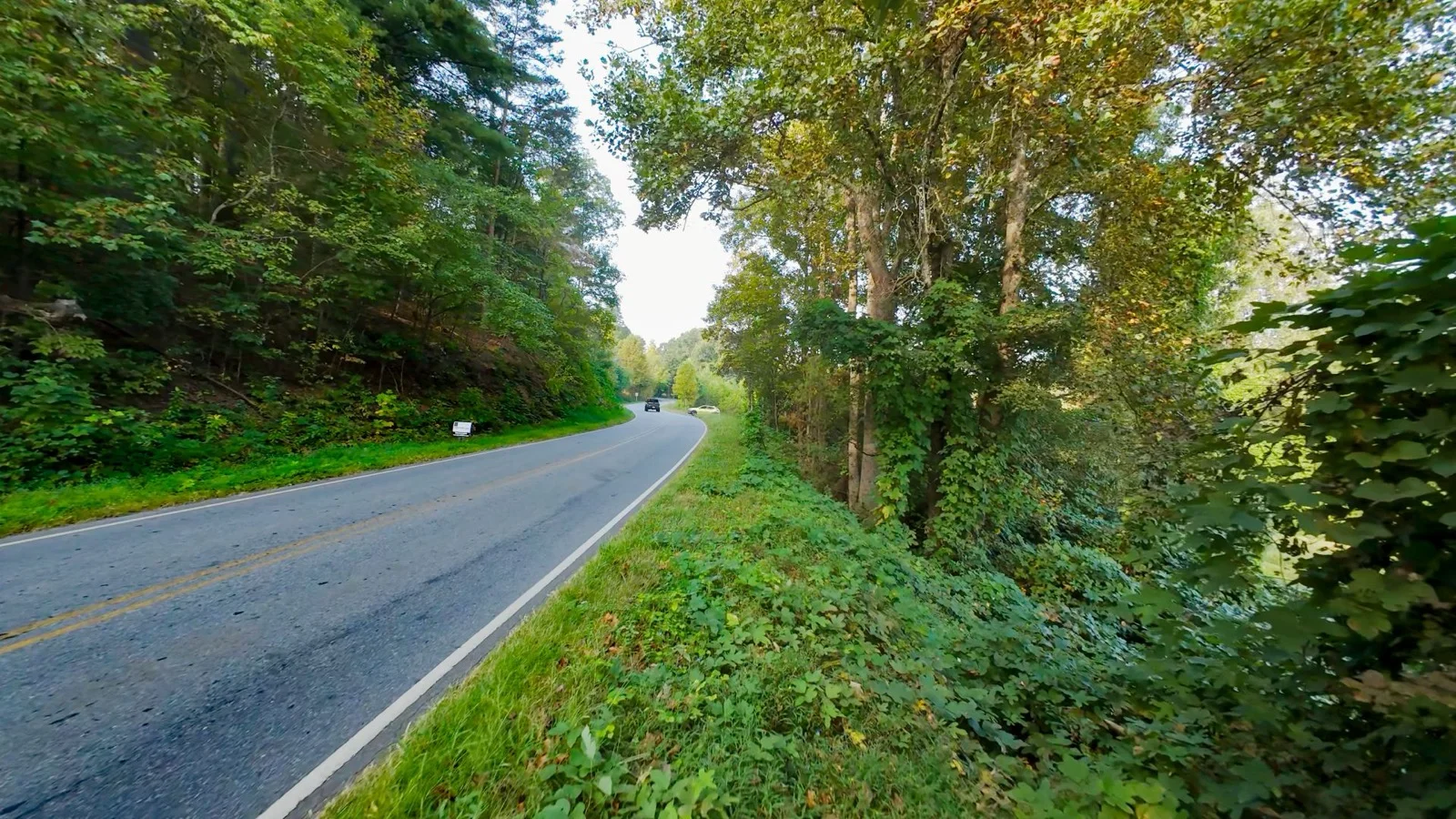 16.66 Acres For Sale in Burke County North Carolina!