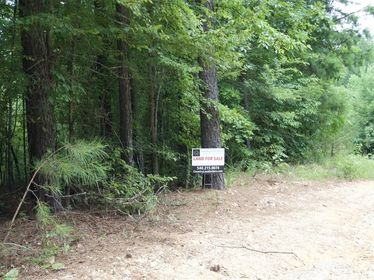 5 Acres with Owner Financing and $399 down in Clark County Arkansas!