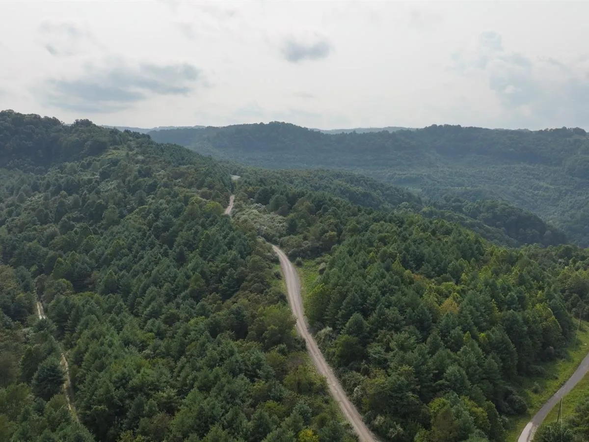 58.109 Acres for Sale in Russell County Virginia!