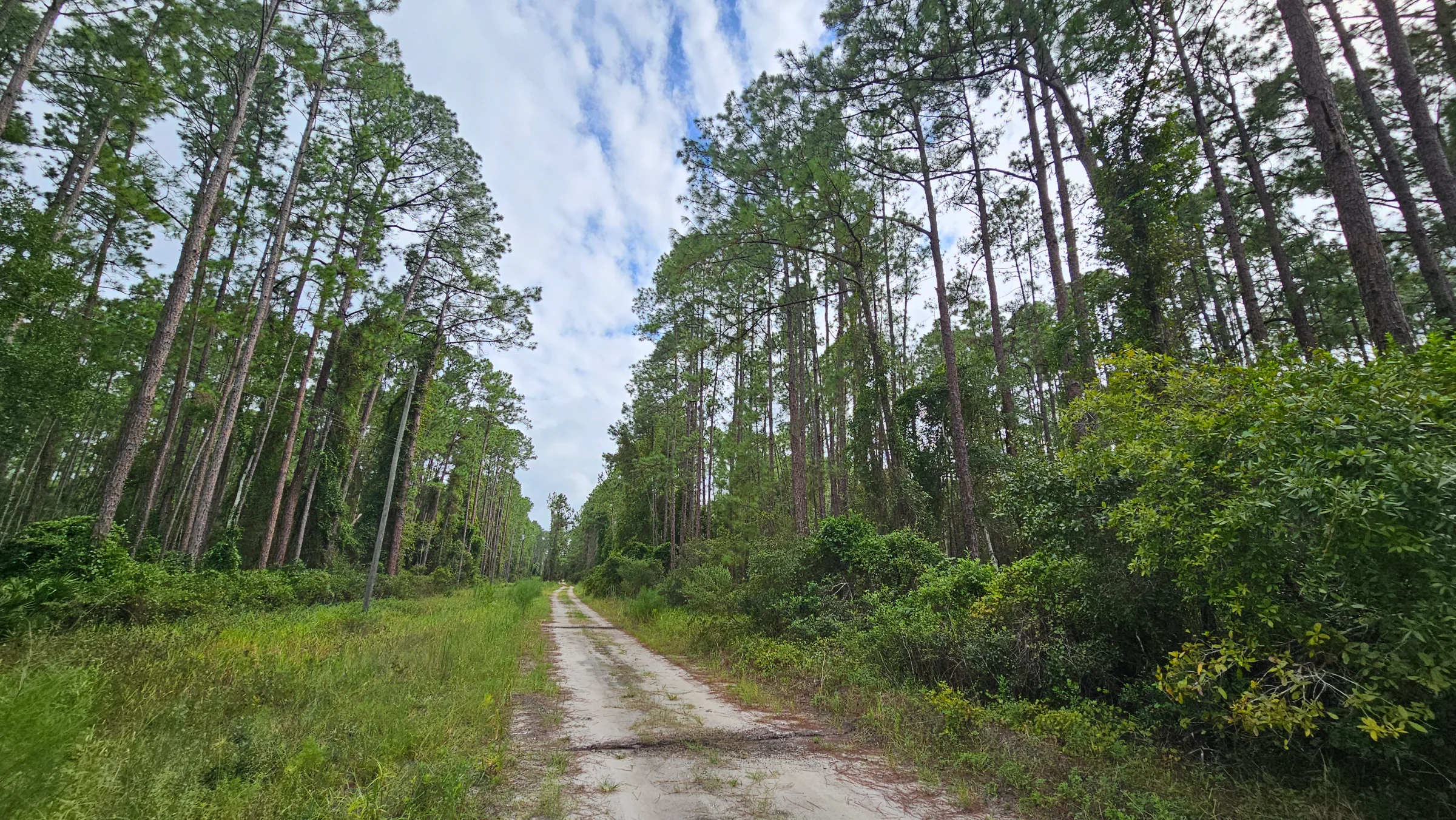 FL Land for Sale Near Lake George