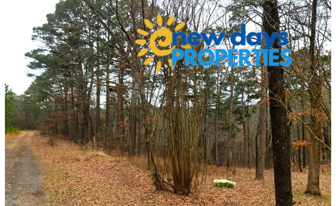 0.26-Acre Mountain View Arkansas