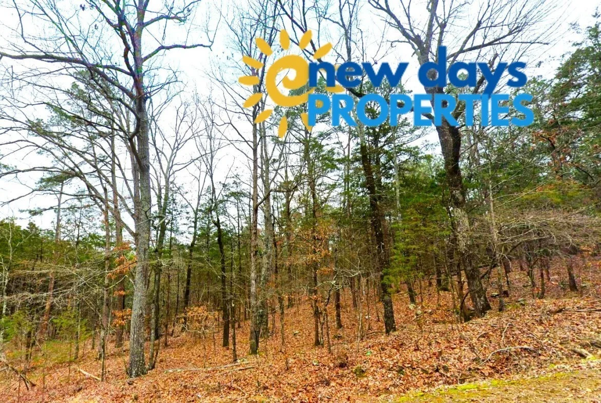 0.30-Acre Treed Land for Sale in Mountain View
