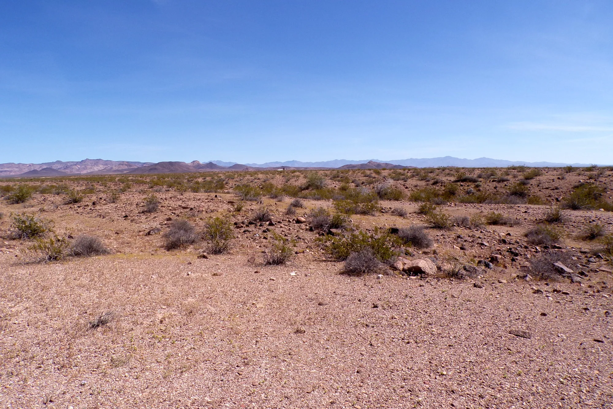 Affordable 1.25-Acre Arizona Land With the Peace & Privacy