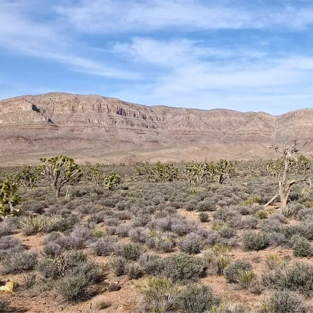 A Perfect Place To Live Your Off-Grid Dream!