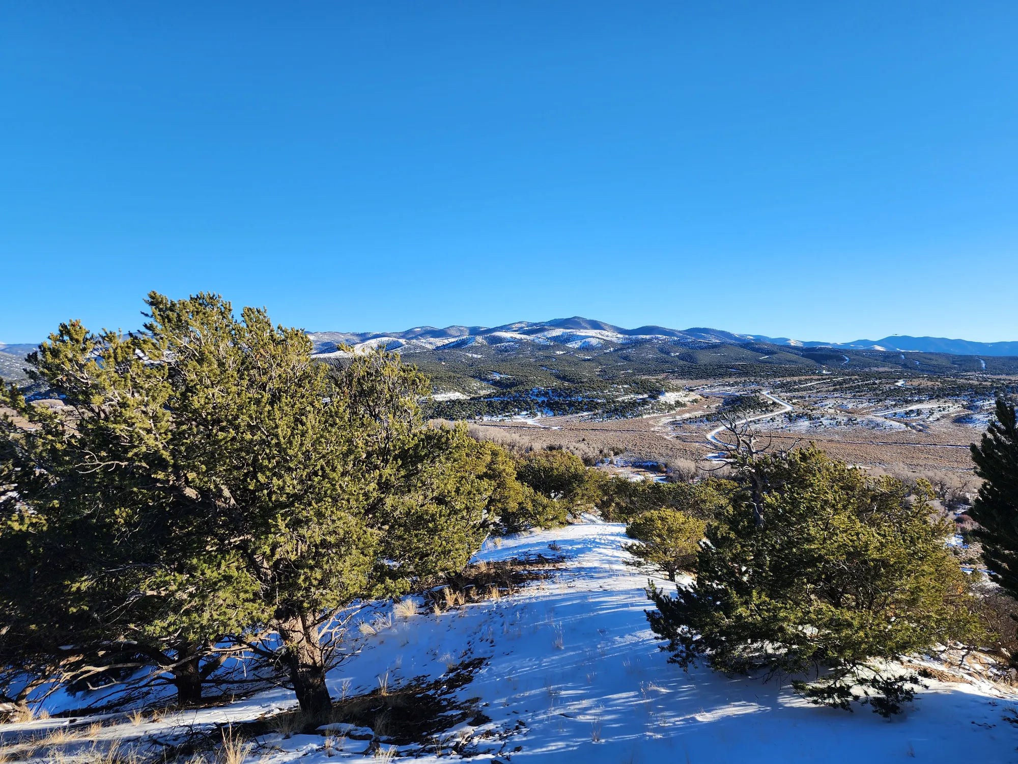 5 Acres With Direct Road Access (With Adjacent Lot Available!)