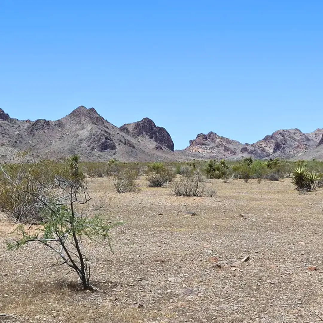 1.15-Acre Mohave, AZ Private Campsite