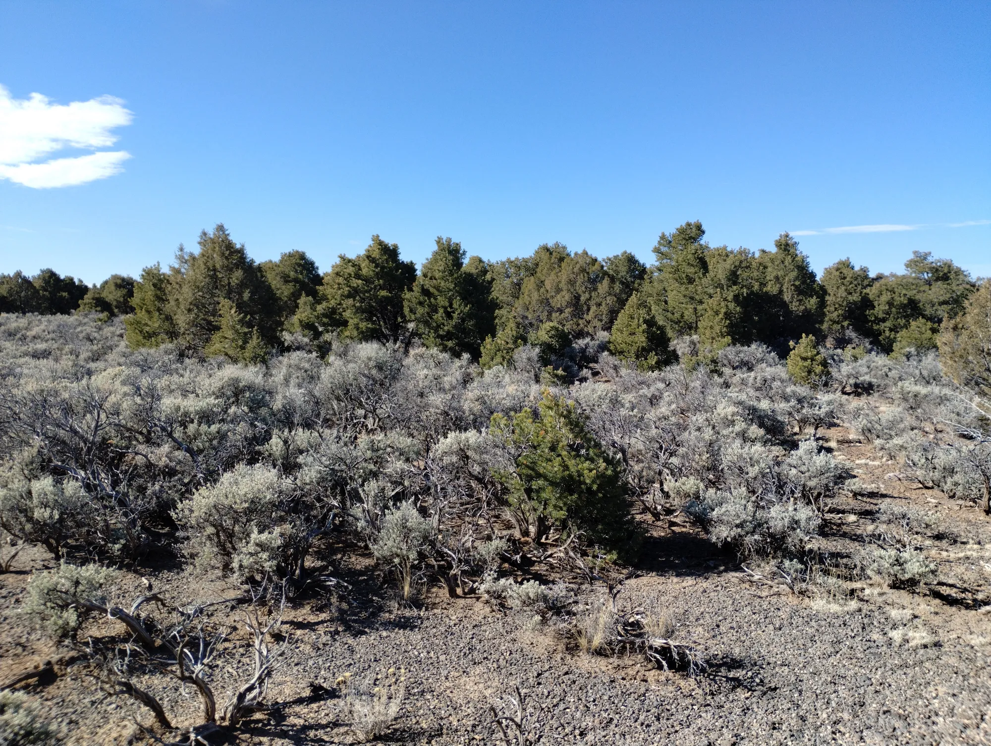 Own This 2.53-Acre Colorado Escape — Mountain Views & Endless Freedom Await
