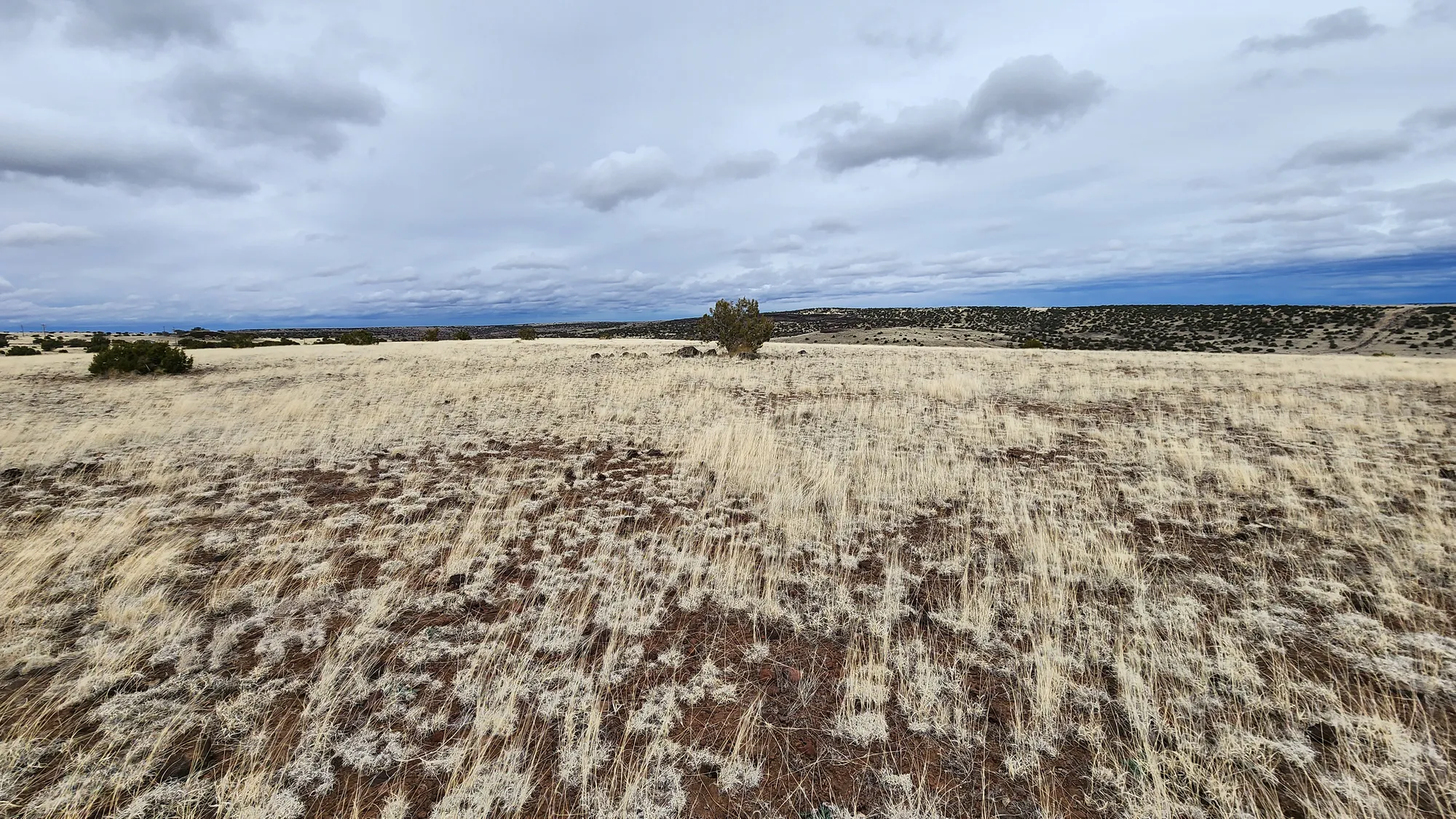 1.04 Acres in Apache County, AZ