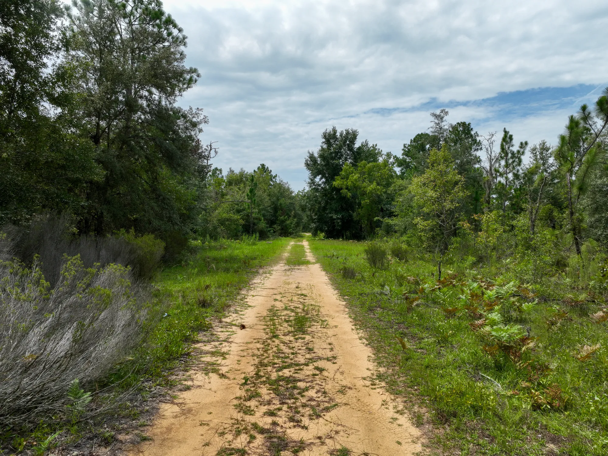 0.3 Acres in Putnam County, FL