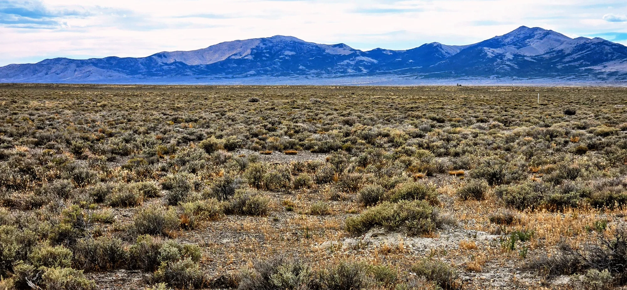 20.26 Acres in Elko County, NV