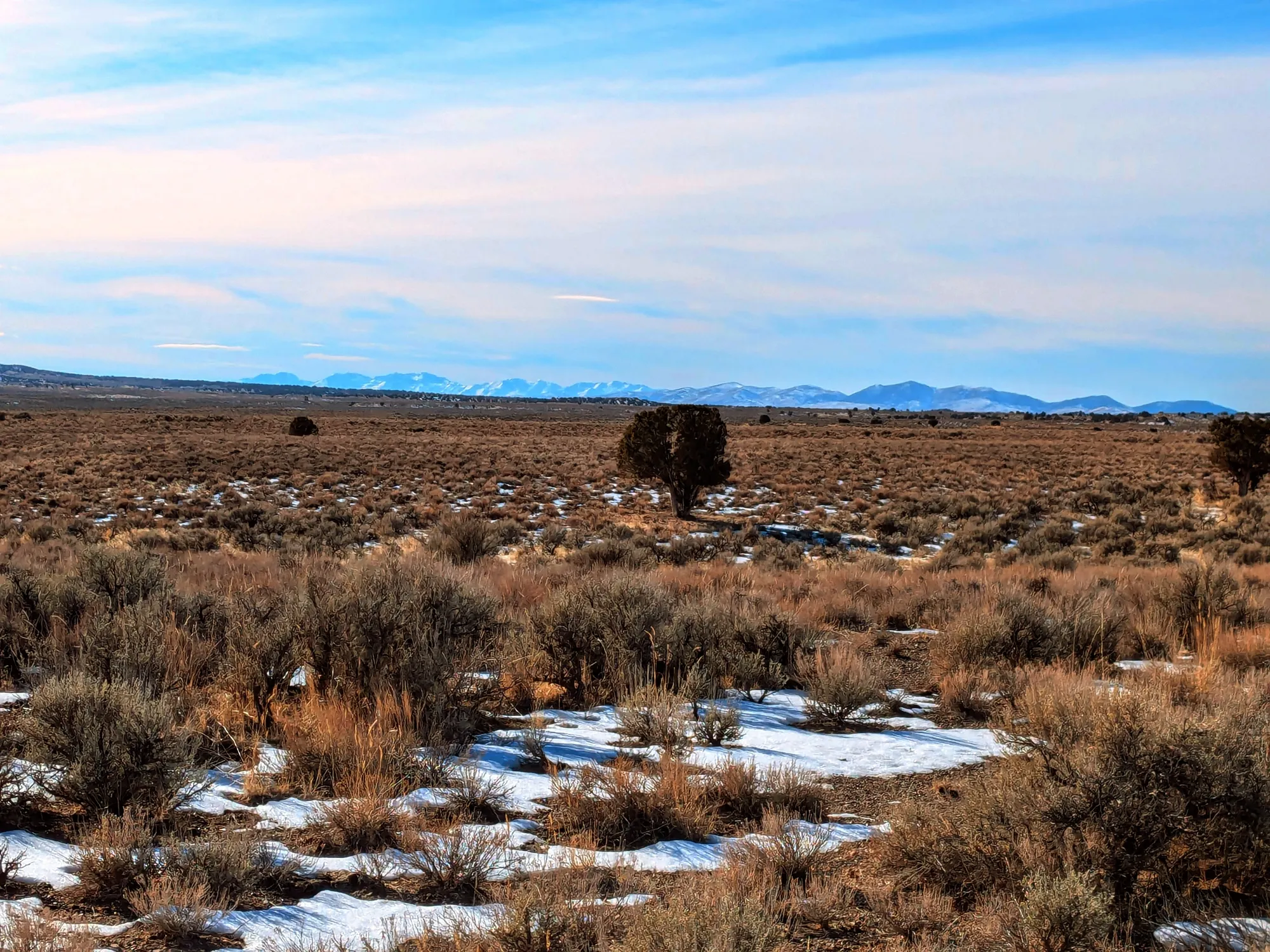 40 Acres in Elko County, NV