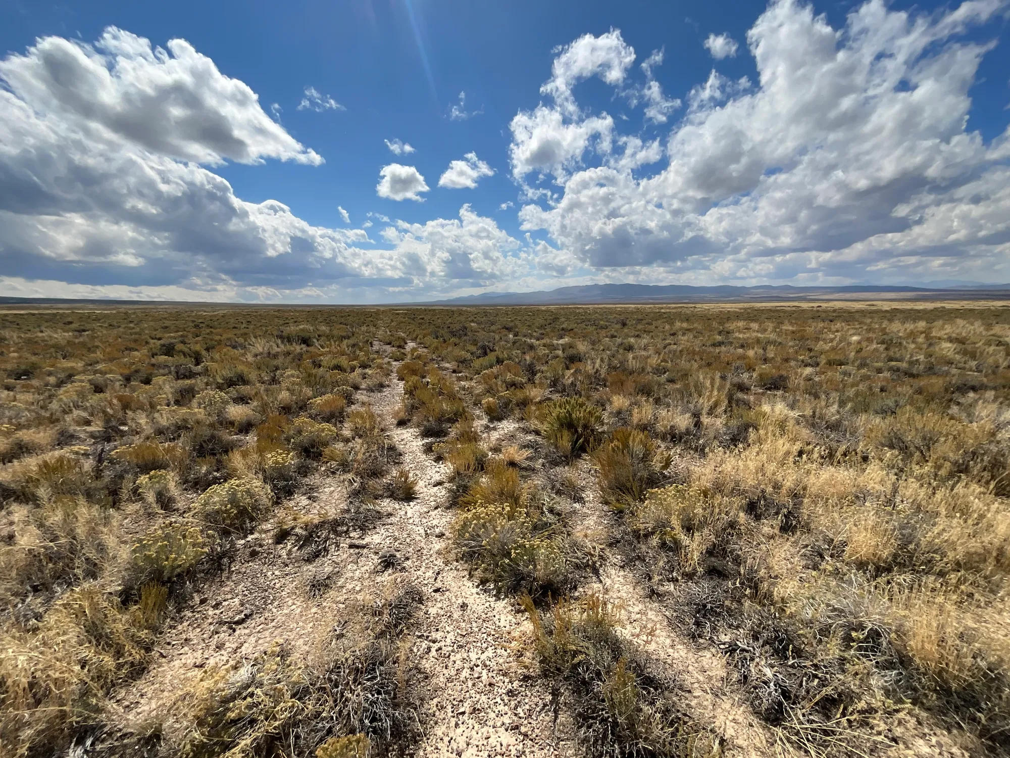 10 Acres in Elko County, NV